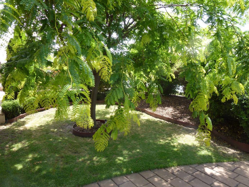 Colonial Motor Inn Bairnsdale Golden Chain Property Extérieur photo